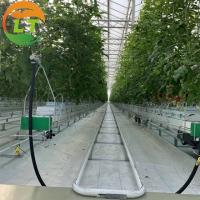 China Top Ventilation Glasshouse Greenhouse Sides Top Film Covered factory