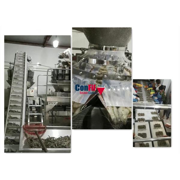 Quality CE Multihead Weighing Machine For Seafood IQF Squid Frozen Food for sale