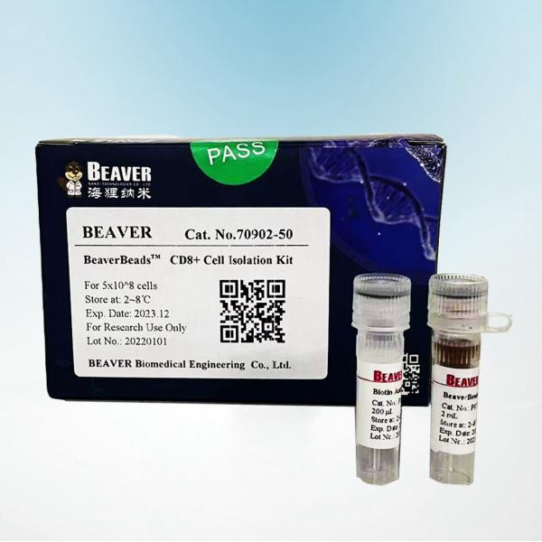 Quality Beaver Beads Cell Isolation Kit For Immunotherapy for sale