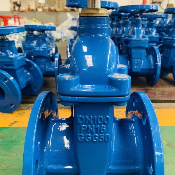 Quality DN50 DI Gate Valve BS5163 Flange Type Gate Valve End Connection for sale