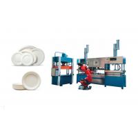 China Wheat Straw Pulp Tableware Production Line With Multi - Joints Robot And Stacking Machine factory