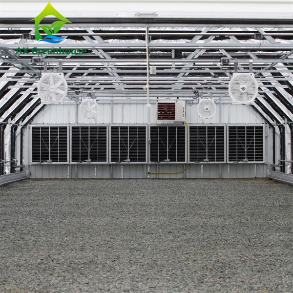 Quality Agriculture Light Dep Greenhouse Polytunnel Blackout Shade System Fully for sale