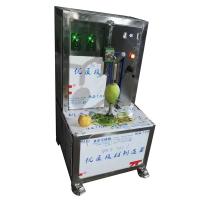 China Automatic Rapid Orange Peeler Melon And Fruit Peeling Machine Lemon Zester Peeler factory