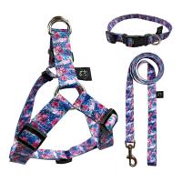 China Heavy Duty Collar Leash Harness Set Puppy Adjustable Flower Pattern Pet Lope factory
