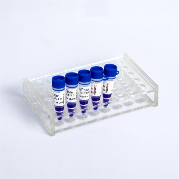Quality Nucleic Acid Dye LD DS 5000 DNA Marker Electrophoresis Ladder LM111 for sale