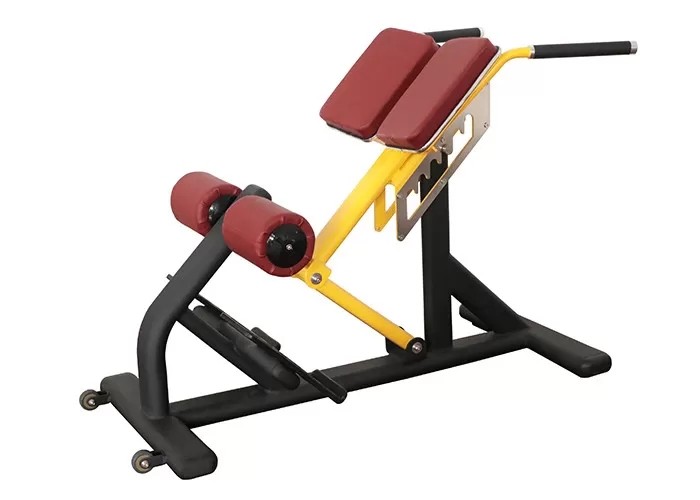 China Commercial Gym Weight Bench Rack Fitness Equipment Roman Ab Exercise Chair factory