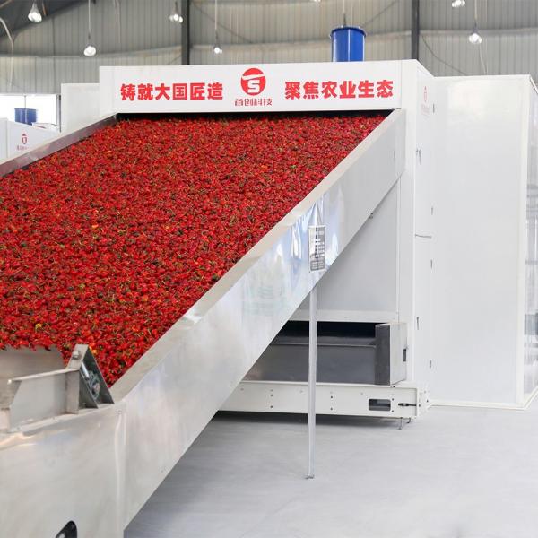 Quality SUS304 Mesh Belt Pulse Air Supply Chili Dryer Machine Industry Agricultural for sale