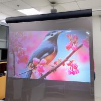 Quality Projection Screen Vinyl Fabric Korea Touch Transparent Rear Projection Film for sale