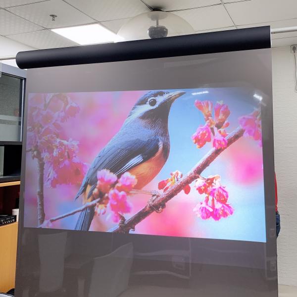 Quality Projection Screen Vinyl Fabric Korea Touch Transparent Rear Projection Film Reflective for sale