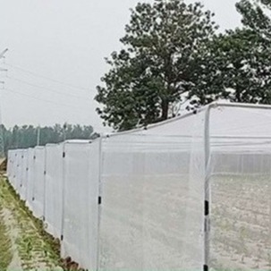 Quality 50mesh High Density Agriculture Insect Net 50-90gsm Vegetable Anti Insect Net for sale