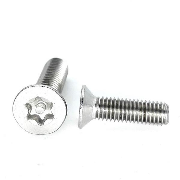 Quality Stainless Steel Flat Torx Head Screw for sale