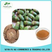 China Best Selling Product Free Sample No Additives High Ratio Promote Decrease of Blood  Effect  Areca Nut Extract factory