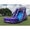 China Funny Outdoor Inflatable Water Slide Custom Logo Strong Stucture CE Certification factory