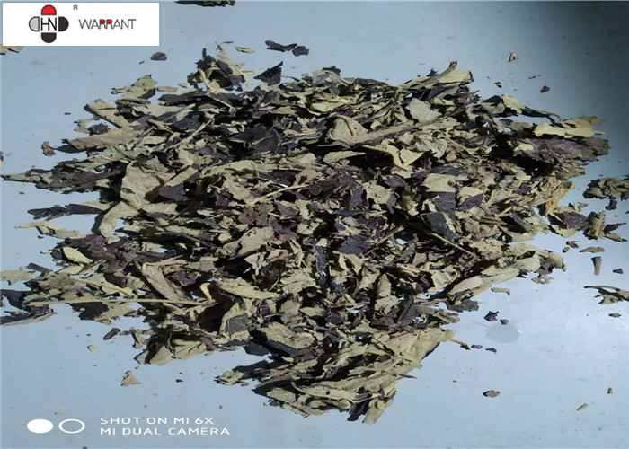 China Brown Powder 2.5% Ursolic Acid Callicarpa Nudiflora Extract factory