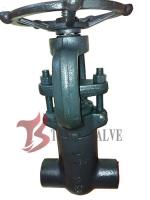 China High Pressure Forged Steel Valves Solid Wedge Full Bore A105N SW / NPT factory
