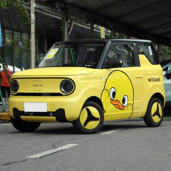 Quality GEELY Panda Chinese Mini Electric Car EV Top Speed 100km/H  For Urban Transportation for sale