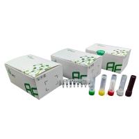 China Fast And Accurate SARS-CoV-2 Detection Kit With Nasopharyngeal Swab Sampling factory