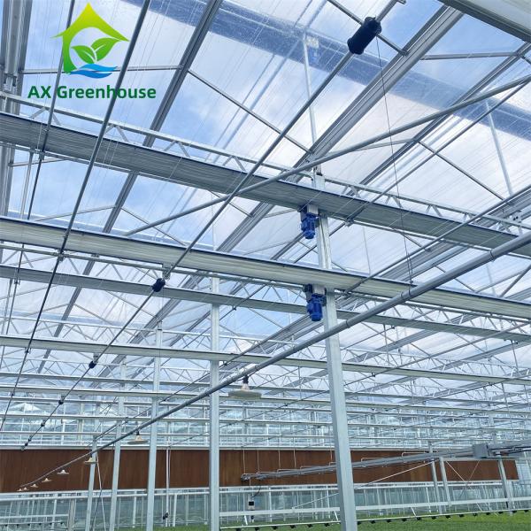 Quality Intelligent Hydroponic Roses Greenhouse for sale