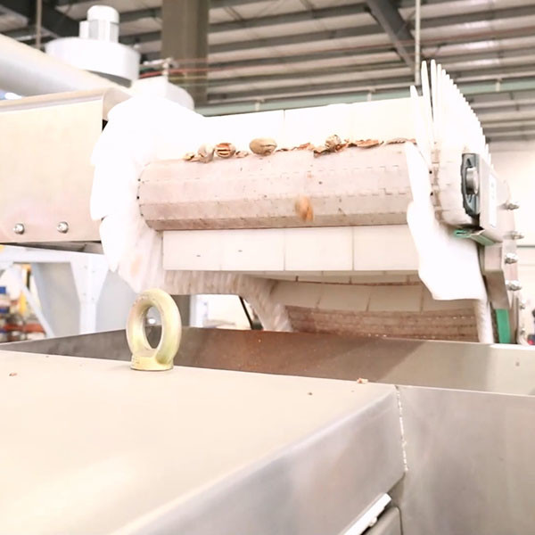 Quality 220V Pecan Shelling Machine Capable 100000 Nuts With CE Certifications for sale