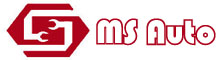 China Shenzhen MS Auto Technology Limited logo