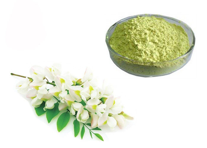 China 95% 98% Pure Rutin Powder Flower Bud Part Sophora Japonica Extract factory