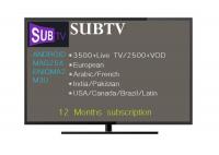 China Armenia IPTV Reseller Account 1 Year SUBTV for IPTV Linux Smart 4k TV Box factory