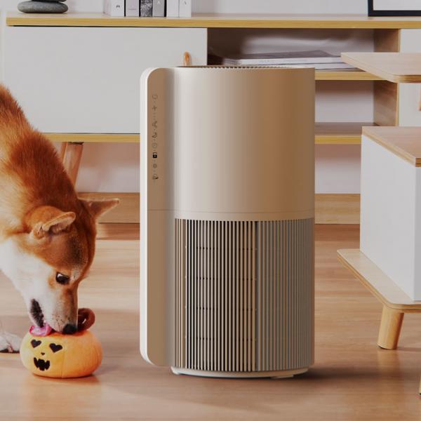 Quality Animal Dander Removal Pet Air Purifier For Cat Allergies Absorption Hair for sale