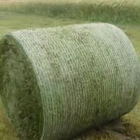 China Plastic Nets Hay Bale Net Wrap Silage Tarp Custom Size Silage Film Mulching Plastic Bale Wrap Net factory