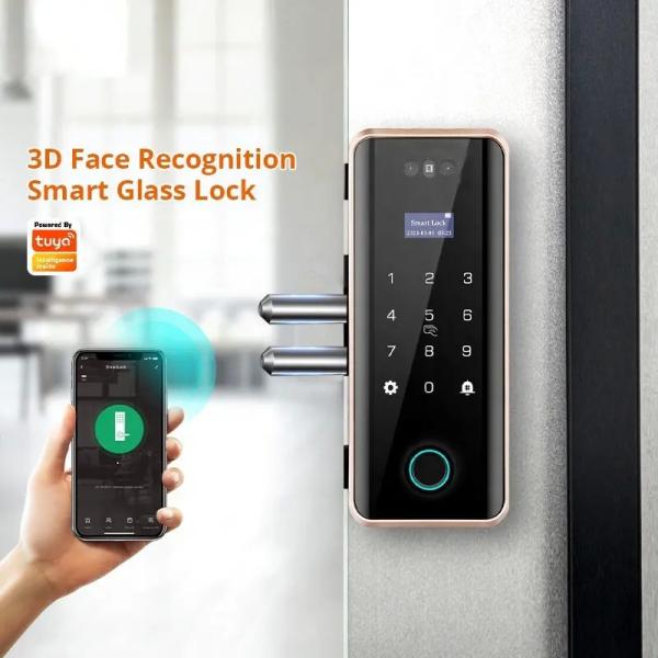 Quality Office Tuya App Door Lock Wireless Biometric High Security Password Glass Door for sale