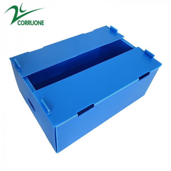 Quality Wholesale Reusable Stackable Pp Hollow Corrugated Plastic Corflute Packaging Fruit And Vegetable Box for sale