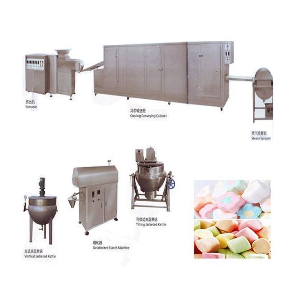 Quality Motor Automatic Food Processing Machine marshmallow Candy Making Machine for sale