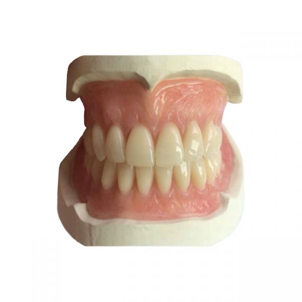 Quality CAD-CAM Rubber 3D Printed Crowns Are Easy To Maintain And Fit for sale
