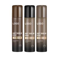 China EN71 Hair Color Sprays Instant Retouch Root Cover Up Natural Color Refreshing Gray Concealer Spray factory