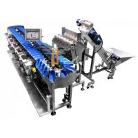 Quality 300WPM 1000g Fruit And Vegetable Packaging Machine Weight Sorting Machine for sale