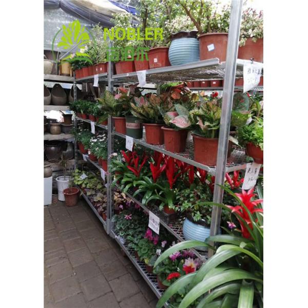 Quality Dutch Trolley Greenhouse Carts for sale