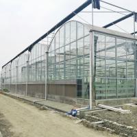 China Round Tunnel Tempered Venlo Glass Greenhouse Multi Span Automatic Hydroponics for sale