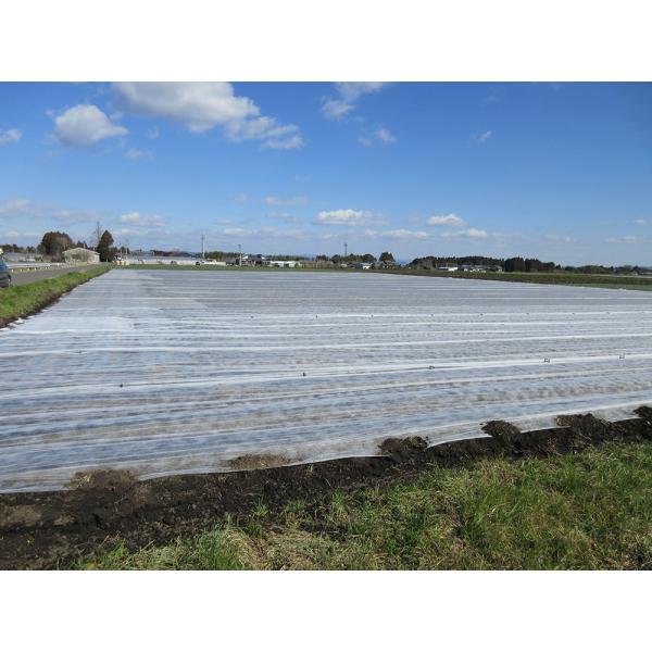 Quality Agriculture / Medical/ Home Non Woven Fabric 30cm - 160cm laminated with PP / PE film for sale