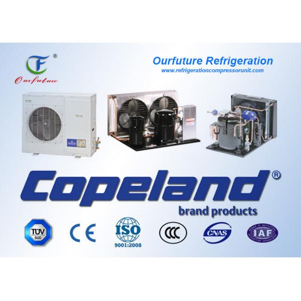 Quality 15 - 90 HP Scroll Parallel Cold Room Compressor Unit Copeland Hermetic for sale