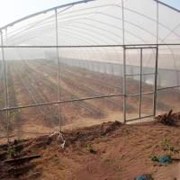 China Single Span Plastic Tunnel Greenhouse Commercial Agricultural factory
