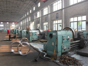 China Factory - Cangzhou Hangxin Flange Co.,Limited
