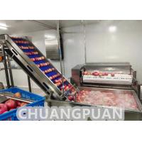 China Industrial Turn Key HPP Apple Juice Production Line factory