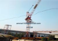 China D5030 12T 50m Boom Luffing Tower Crane 3m Mast 50m HUH Height factory