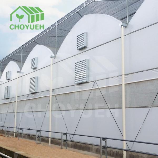 Quality Double Layer PE Film Multi Span Film Greenhouse With Hydroponic System for sale