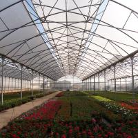 China Saw Tooth Roof Vents Plastic Film Greenhouse For Tropical Climate Special Design factory
