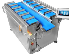 Quality TOUPACK Linear Weigher Packing Machine for sale