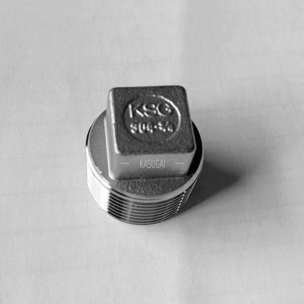 Quality Stainless Square Head Plug Threaded , ASTM A351 SS Tube Fittings for sale