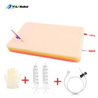 China Silicone Venipuncture Practice Pad Skin Color IV Practice Pad For Medical Students Nurse factory