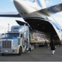China DDP 7-10 Days International Air Freight Shipping Guangzhou China To USA factory