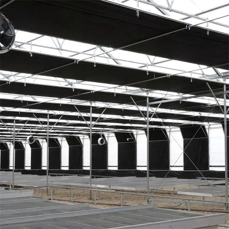 China Turnkey Project Usa Tunnel Automatic Blackout Greenhouse Agricultural Plant Growing factory