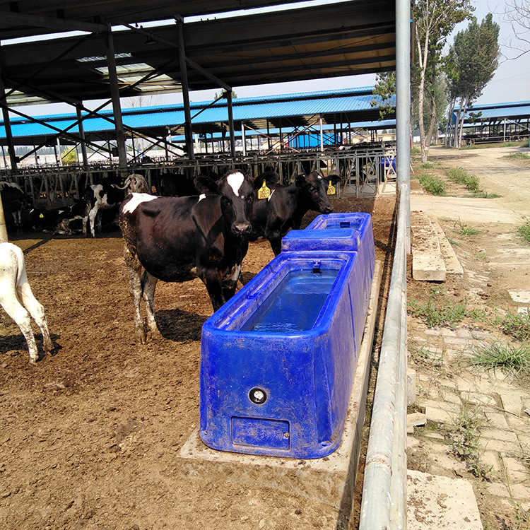 China Durable 4m Livestock Water Tank 260L LLDPE Animal Water Trough for sale